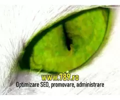 Optimizare SEO Timisoara, promovare site-uri