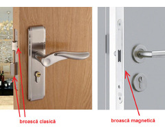 broasca cu limba magnetica
