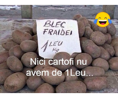 Piese de schimb pentru toate tipurile de  JCB