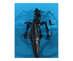 Handbike bicicleta de mana Stricker 20