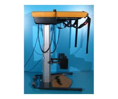 Verticalizator electric - Richter