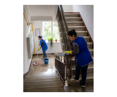 Servicii de Curatenie In Scari de Bloc - Timisoara