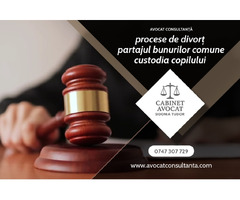 Avocat Consultanta